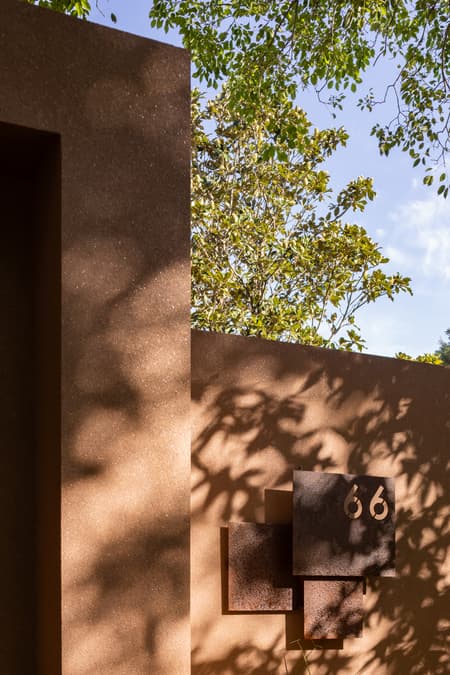 House around the Tree